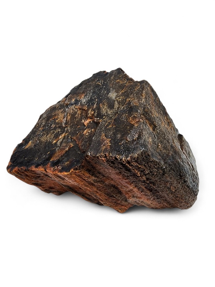 Petrified Wood Specimen 1lb.