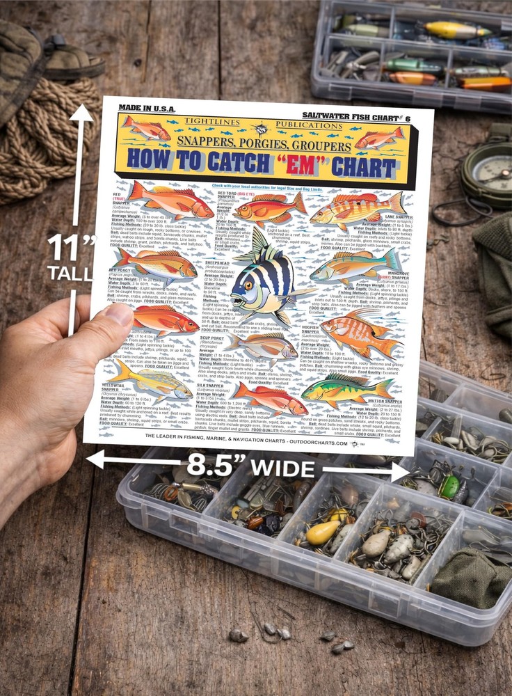 Saltwater Fish Identification Chart #6 - Waterproof Quick Reference Fishing...