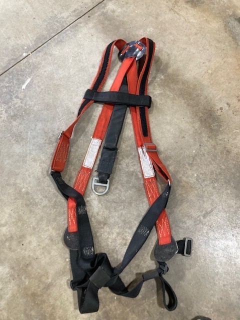Buckingham fall protection / bucket harness