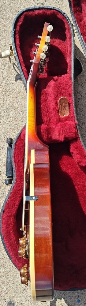 Custom P Mandolin with Case