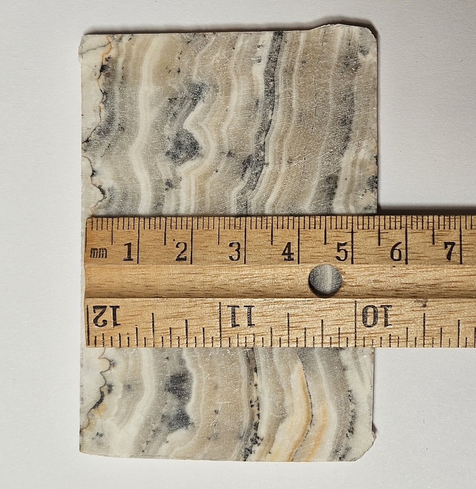 Silver Onyx Lapidary Slab 61 Grams