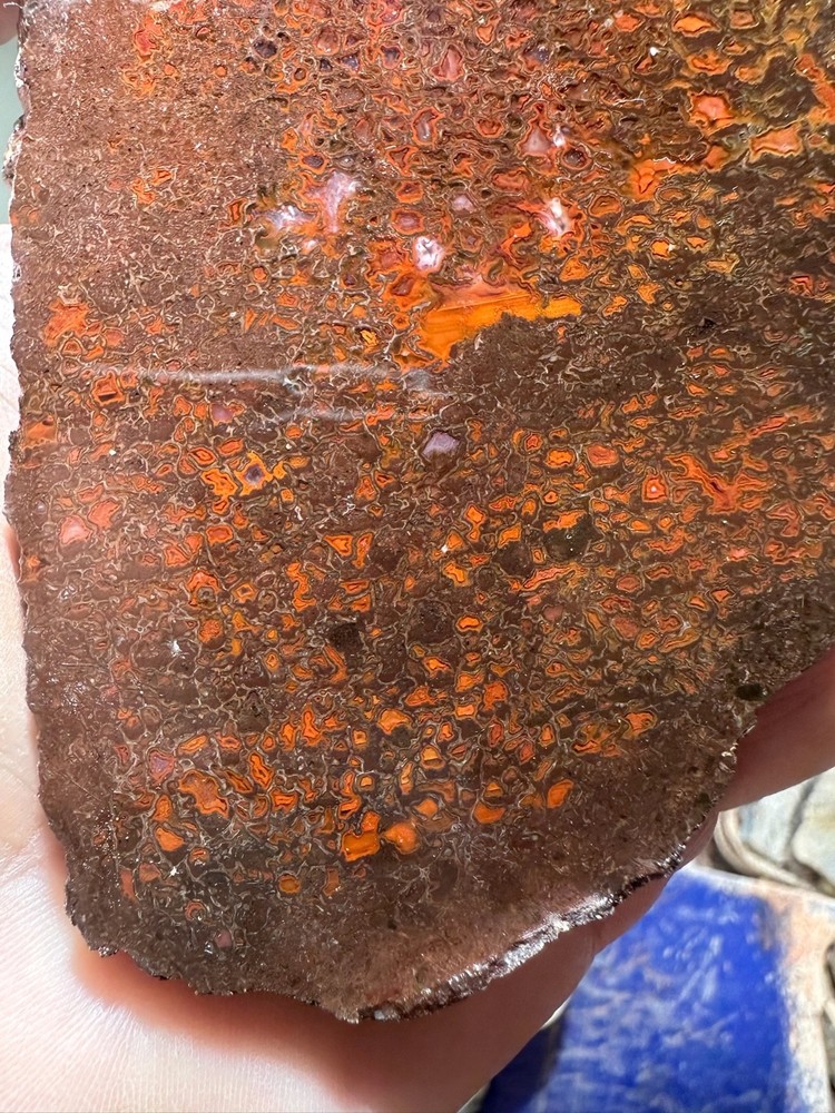 Dinosaur bone rough **hxtled slab.