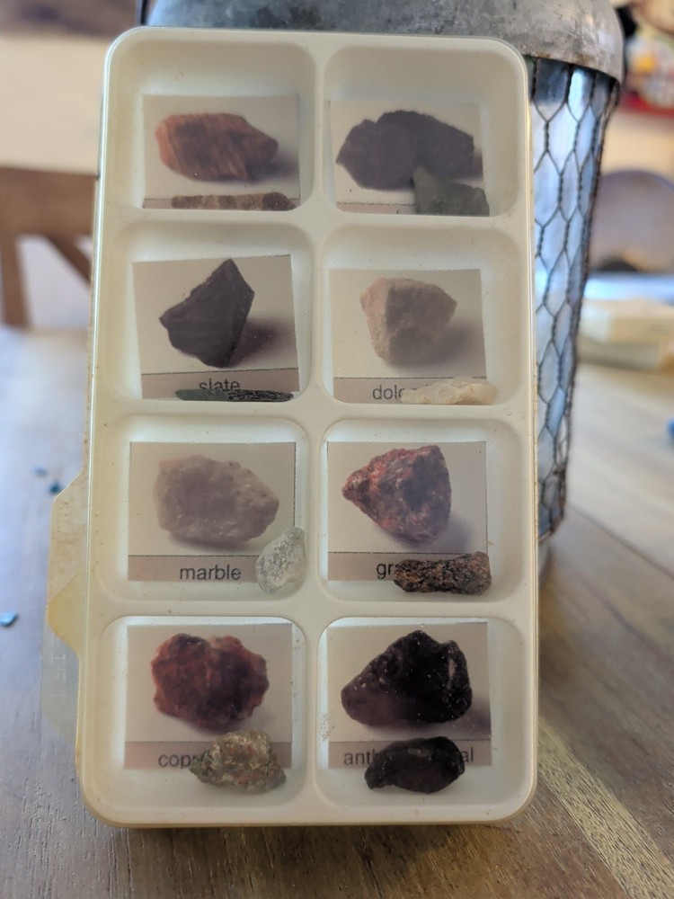 Geological Specimen Collection Set Rocks Display Vintage