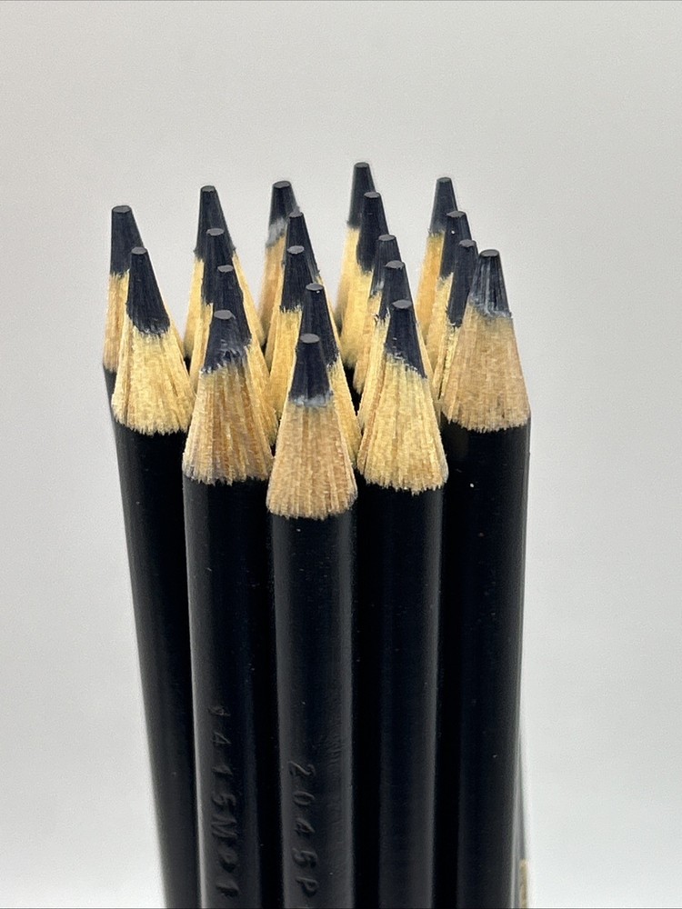 (20) Crayola Colored Pencils  (outer space) BULK