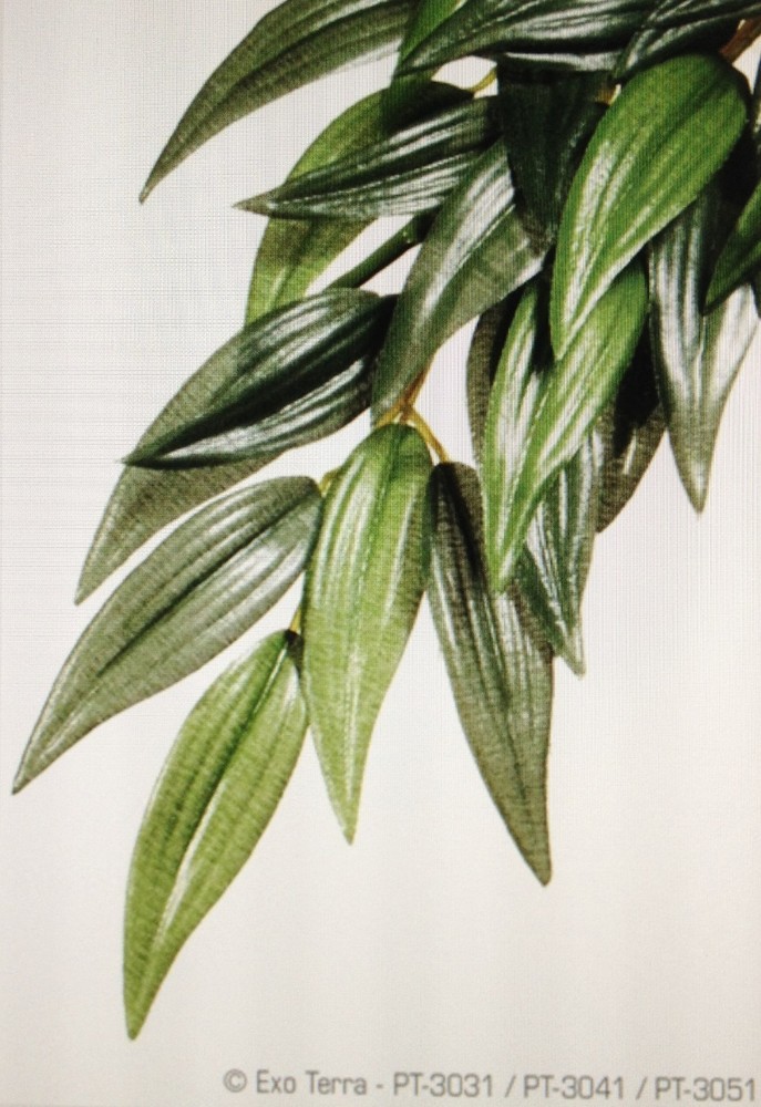 EXO TERRA SILK PLANT - RUSCUS - SMALL