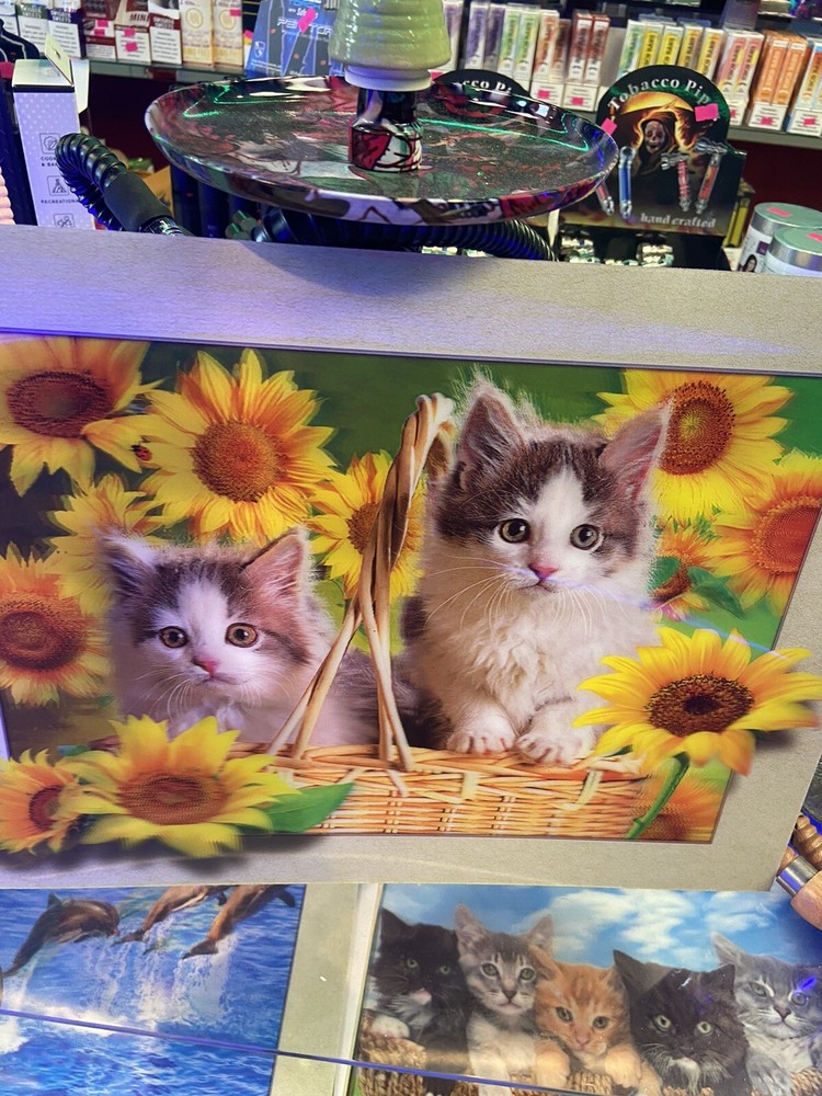 picture 3d