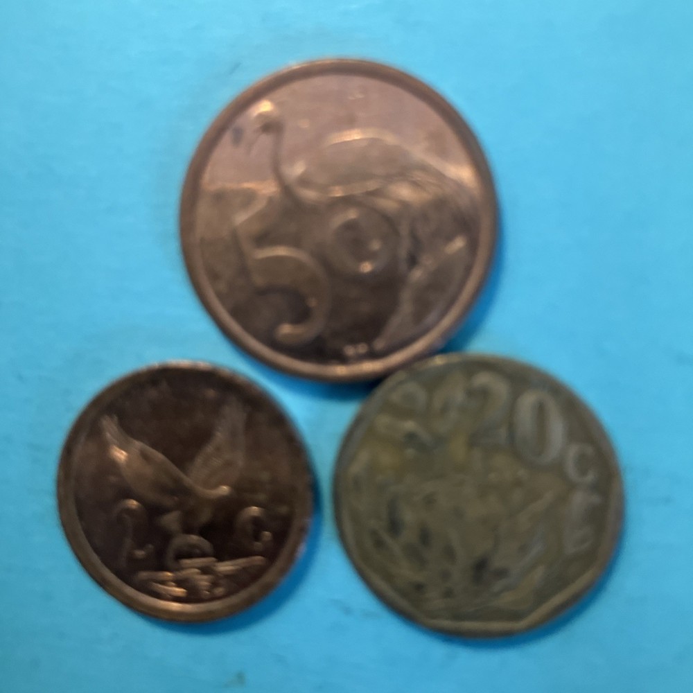 South Africa coin