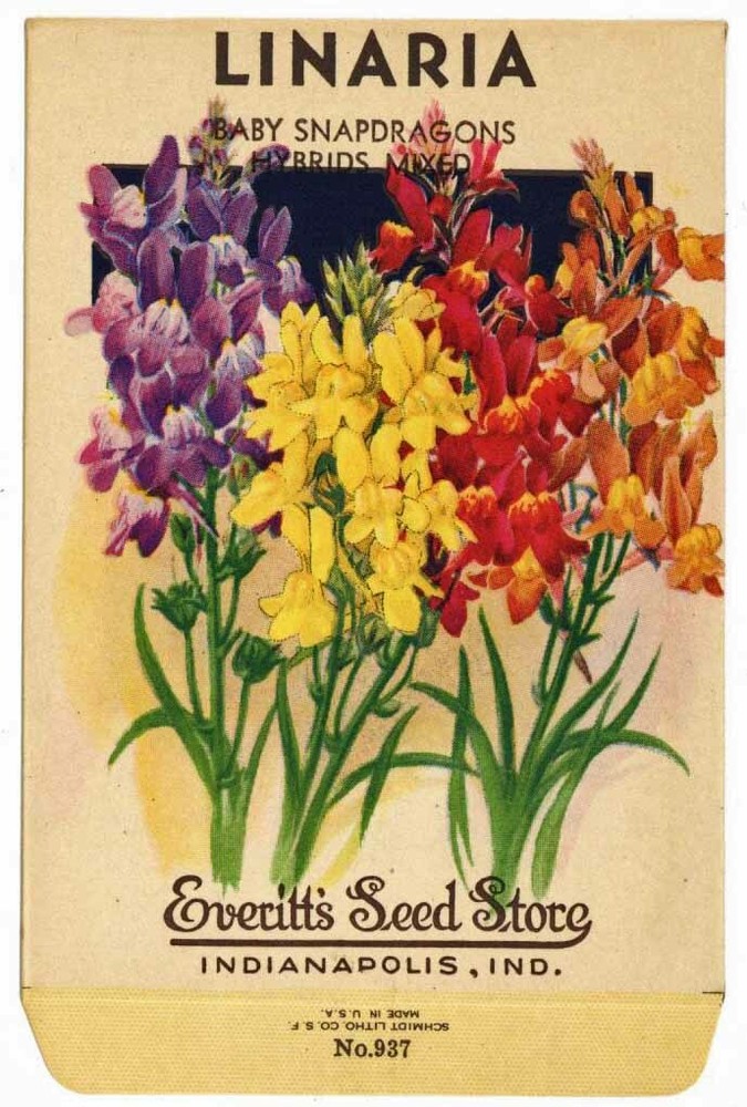 LINARIA, Everitt's Antique Seed Packet, Kitchen Decor, 131