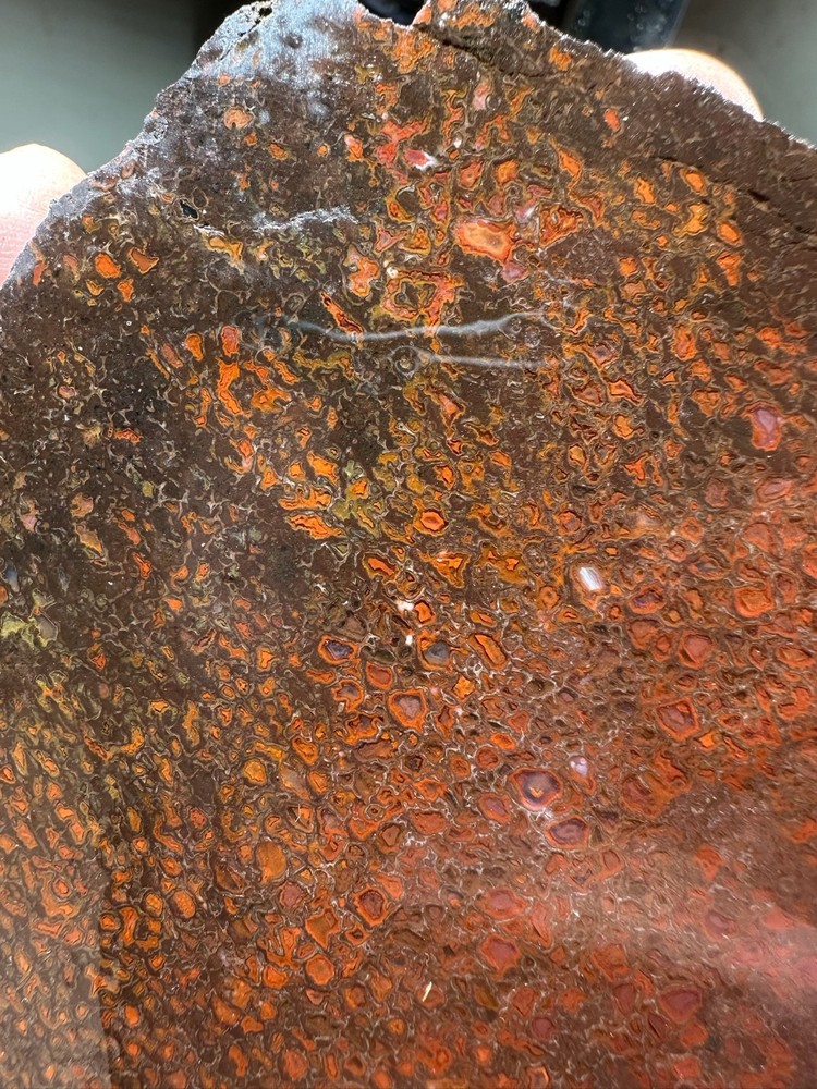 Dinosaur bone rough **hxtled slab.