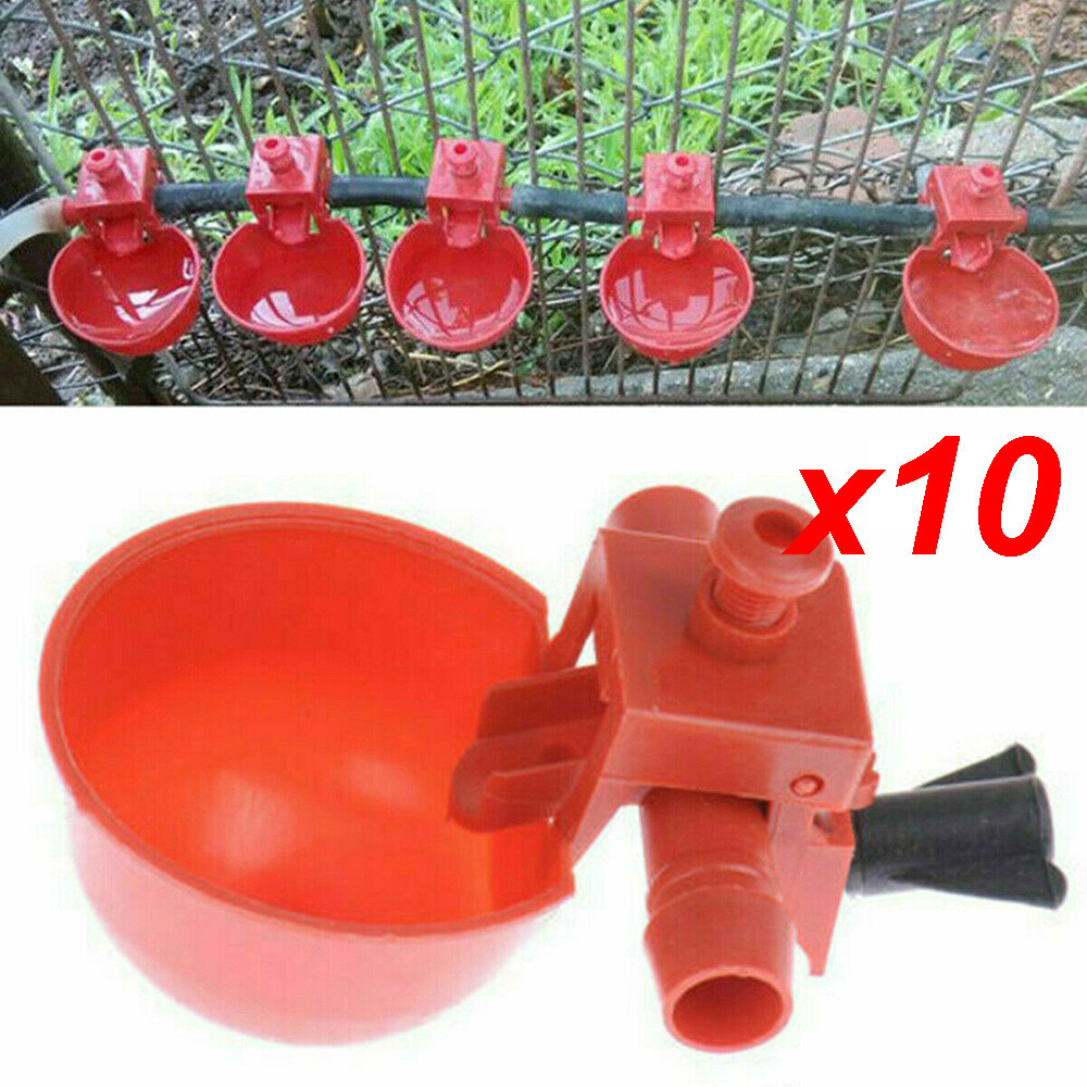 10* Poultry/Quail Water Drinking Cups Chicken Hen Plastic Automatic Drinker NEW