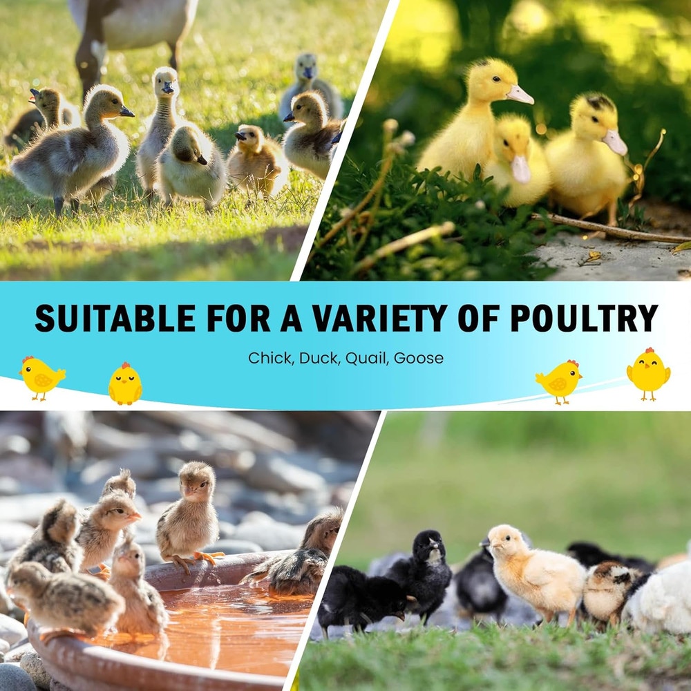 Chicken Brooder Box Starter Kit with Heating Plate, Feeder, and Waterer