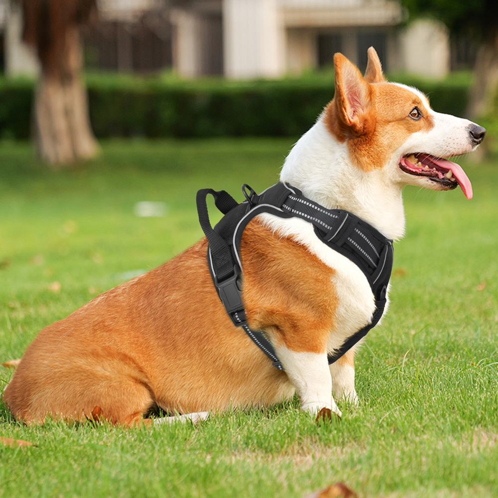 No Pull Adjustable Reflective Dog Pet Harness Puppy Vest w/Handle for Medium Dog