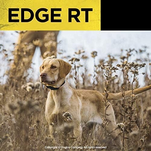 Dogtra Edge RT Trainer Extra Collar Orange 1-Mile Range Expandable 3-Dog System