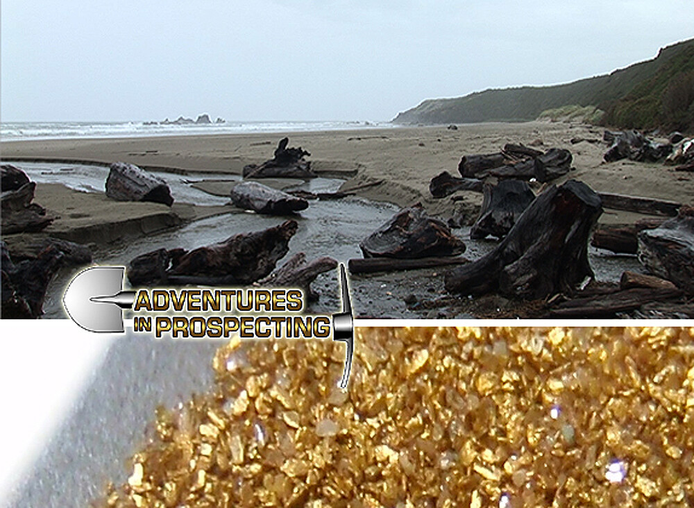 Beach Mining How to Separate the Gold from the Beach DVD