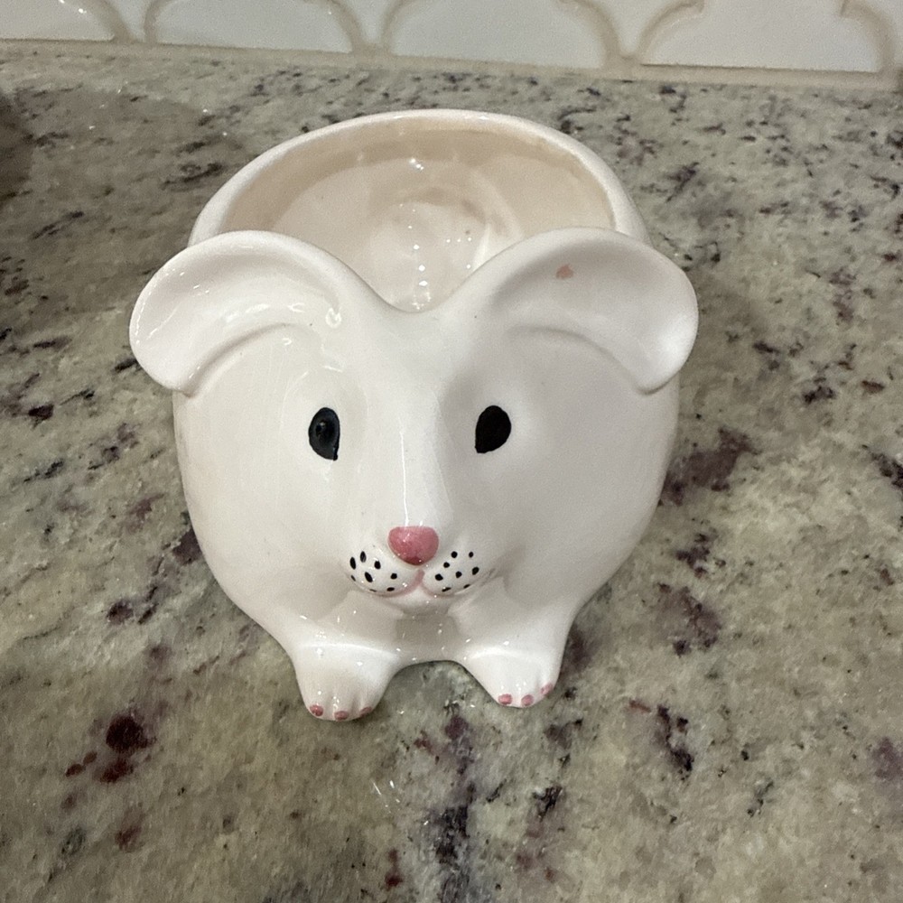 Teleflora White Bunny Rabbit with Pink Ears Planter Easter