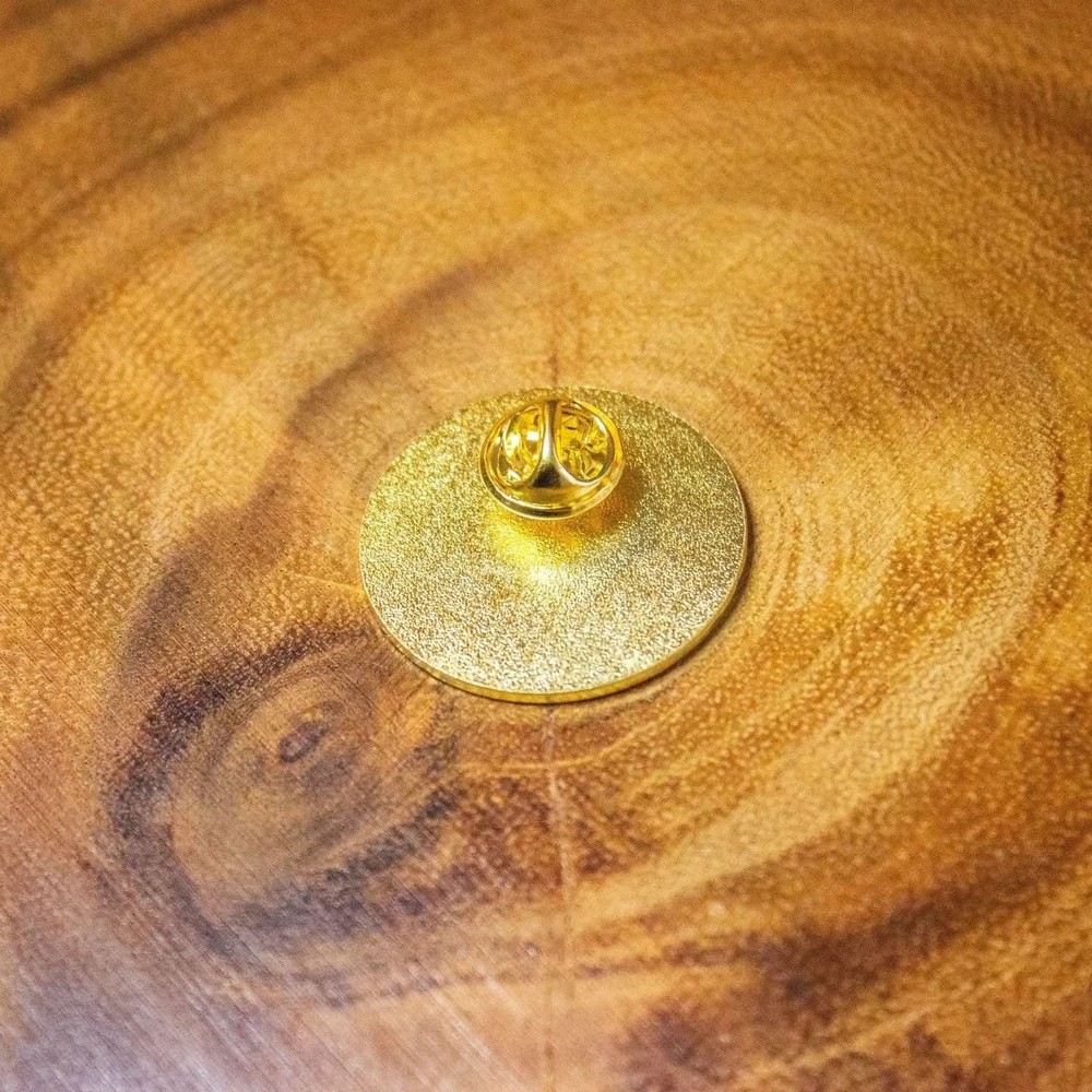 Don't Tell Me Cat Pin