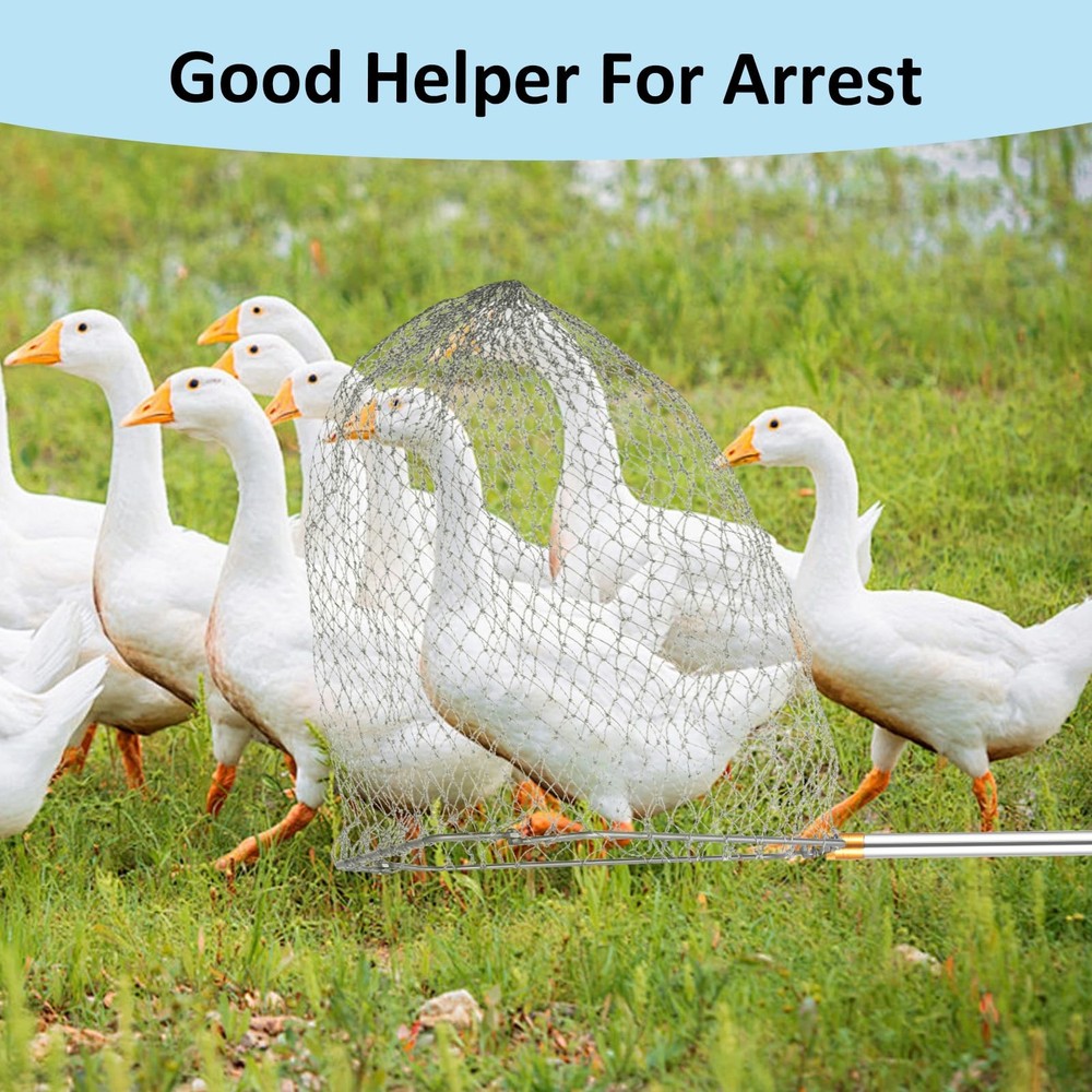 Chicken Catching Net Set – 2 Nets with Adjustable 74 Inch Pole, Lightweight B...