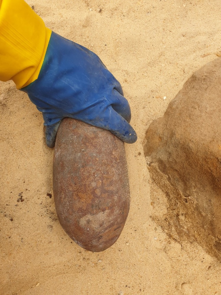 Fossil Macroolithus yaotunensis dinosaur egg fossil specimen