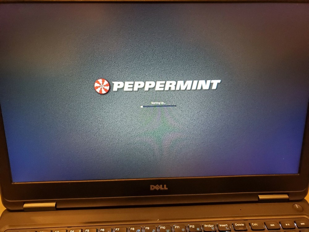 Peppermint Linux 10 x64 Bootable - Small - Light - Fast on 4G USB Stick!
