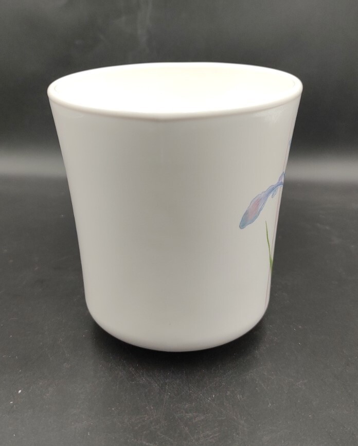 Corelle Shadow Iris Flat Cup