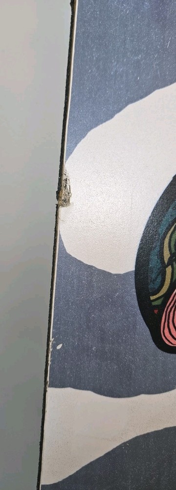 Ronseke Rayne Nemesis 39” Longboard COMPLETE