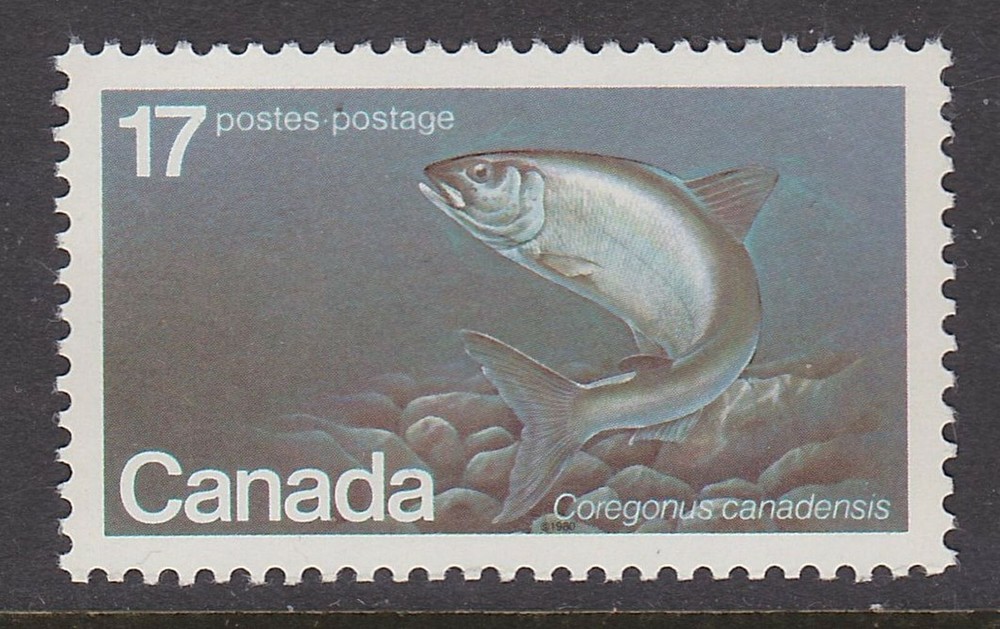 CANADA NO 853, ENDANGERED SPECIES, ATLANTIC WHITEFISH, ROBERT BATEMAN,  MINT NH