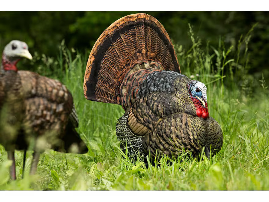 Avian X LCD Strutter Turkey Decoy