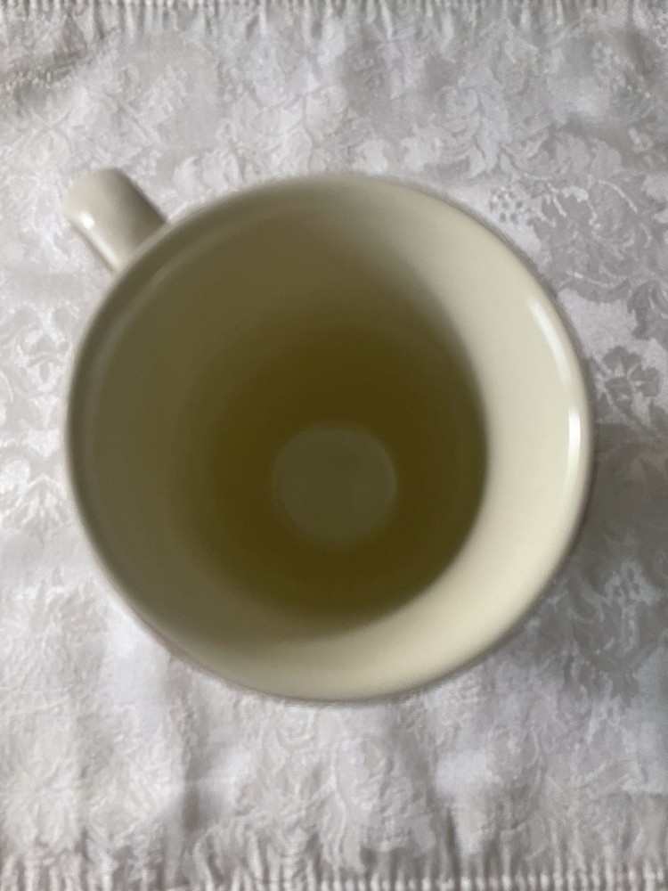 Pier 1 Martillo Creme Brulee Footed Mug