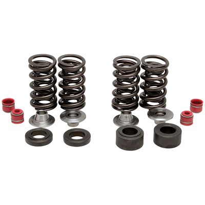 Kibblewhite 30-31150 Valve Spring Kit