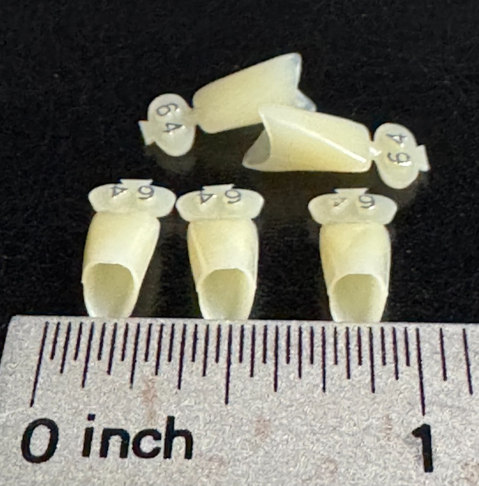 Dental Polycarbonate Temporary Crowns  5 pcs #64