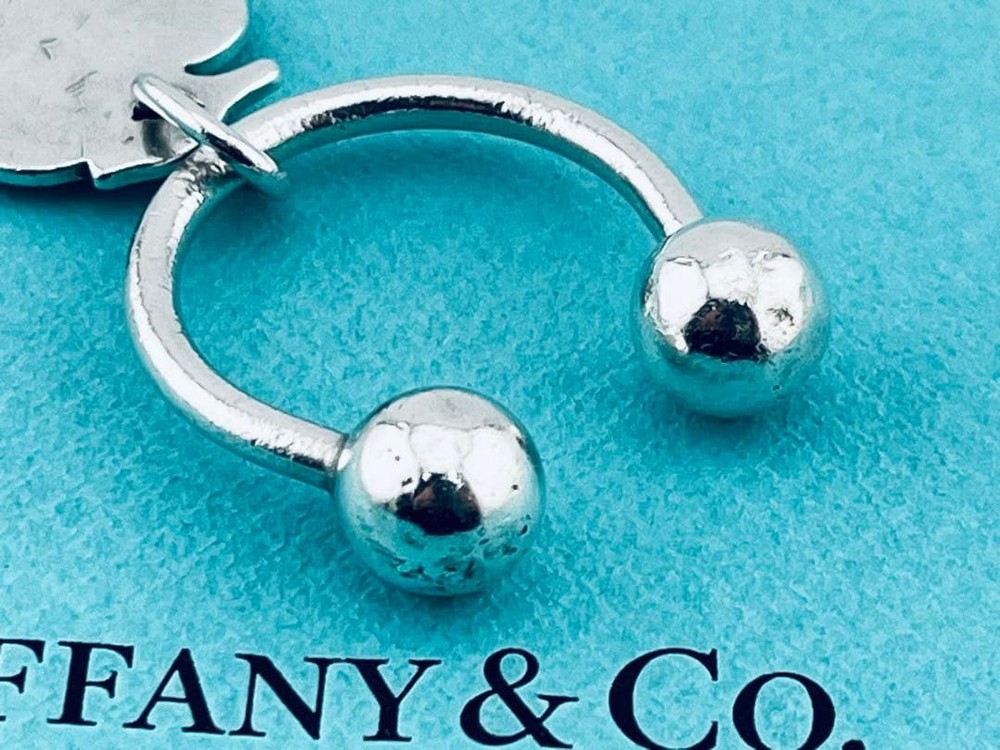 f262 Tiffany & Co. Apple Keyring Keychain 925 Apple