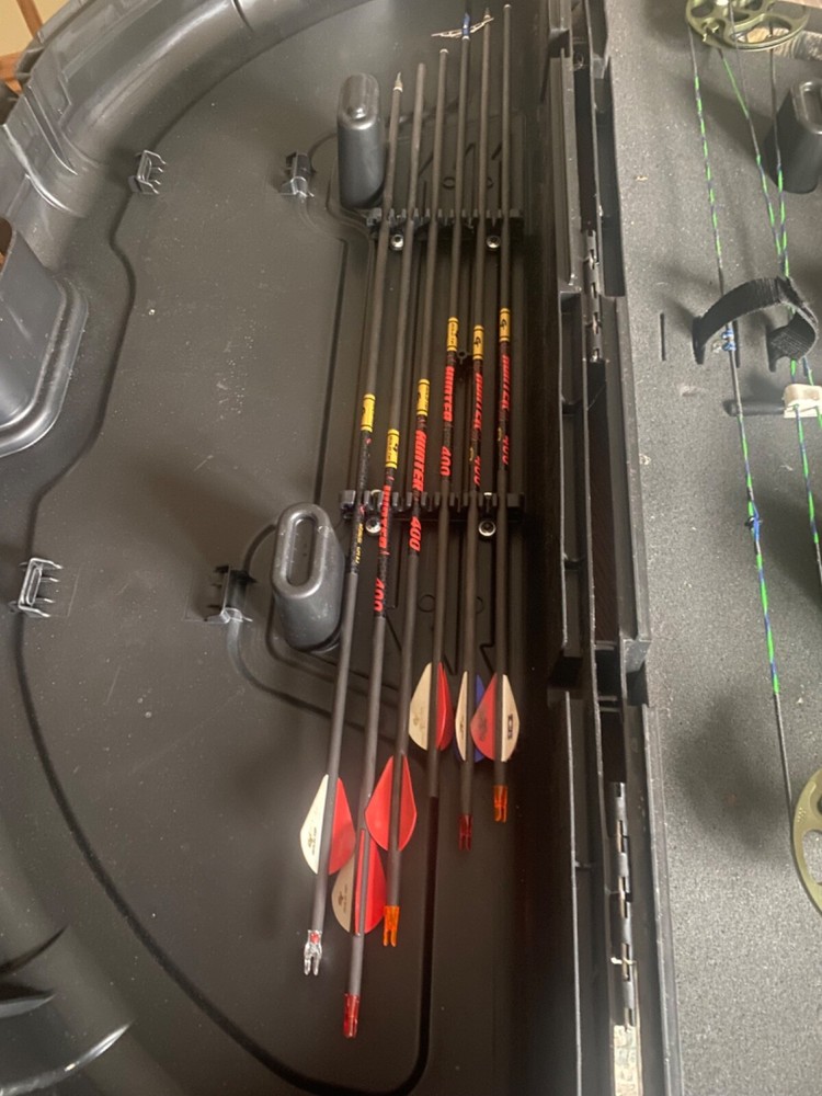 Bear Apprentice 2 Compound Bow