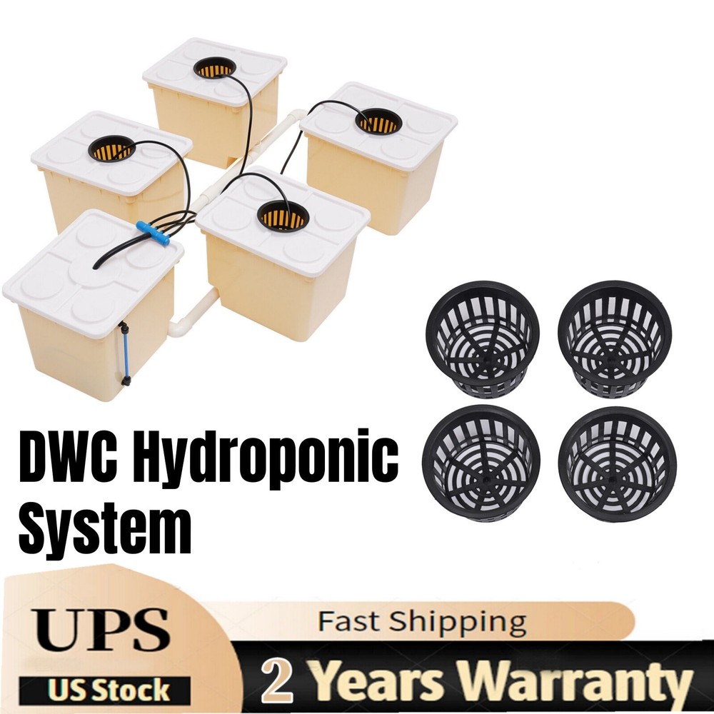 Hydroponics Deep Water Culture DWC Hydroponic System buckets Drip Growing System