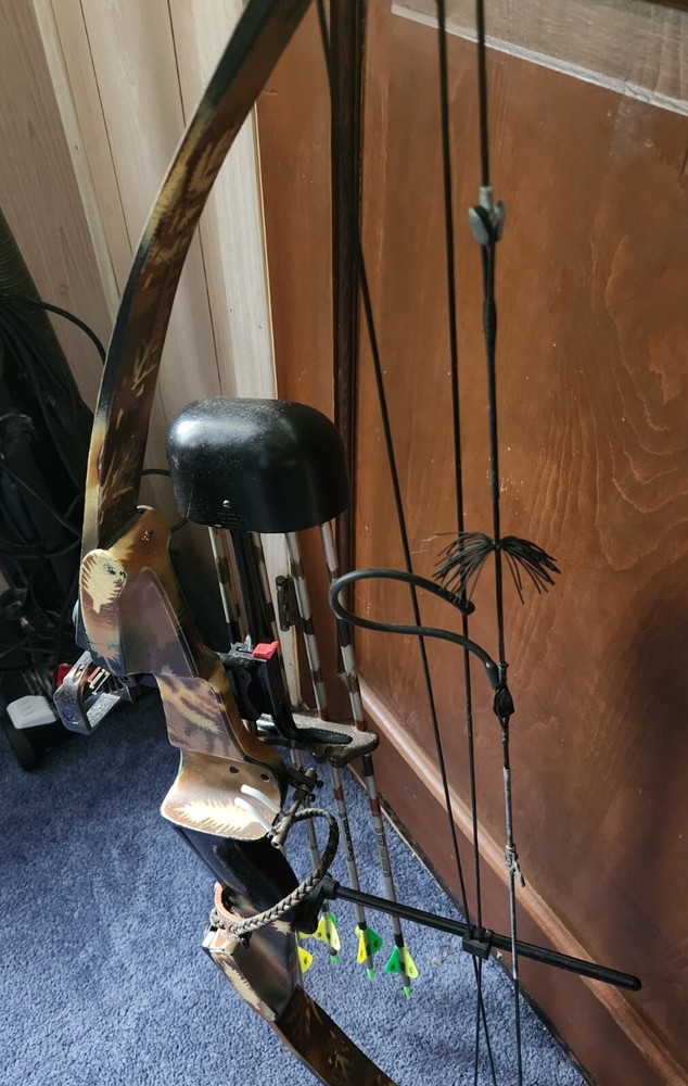 darton compound bow