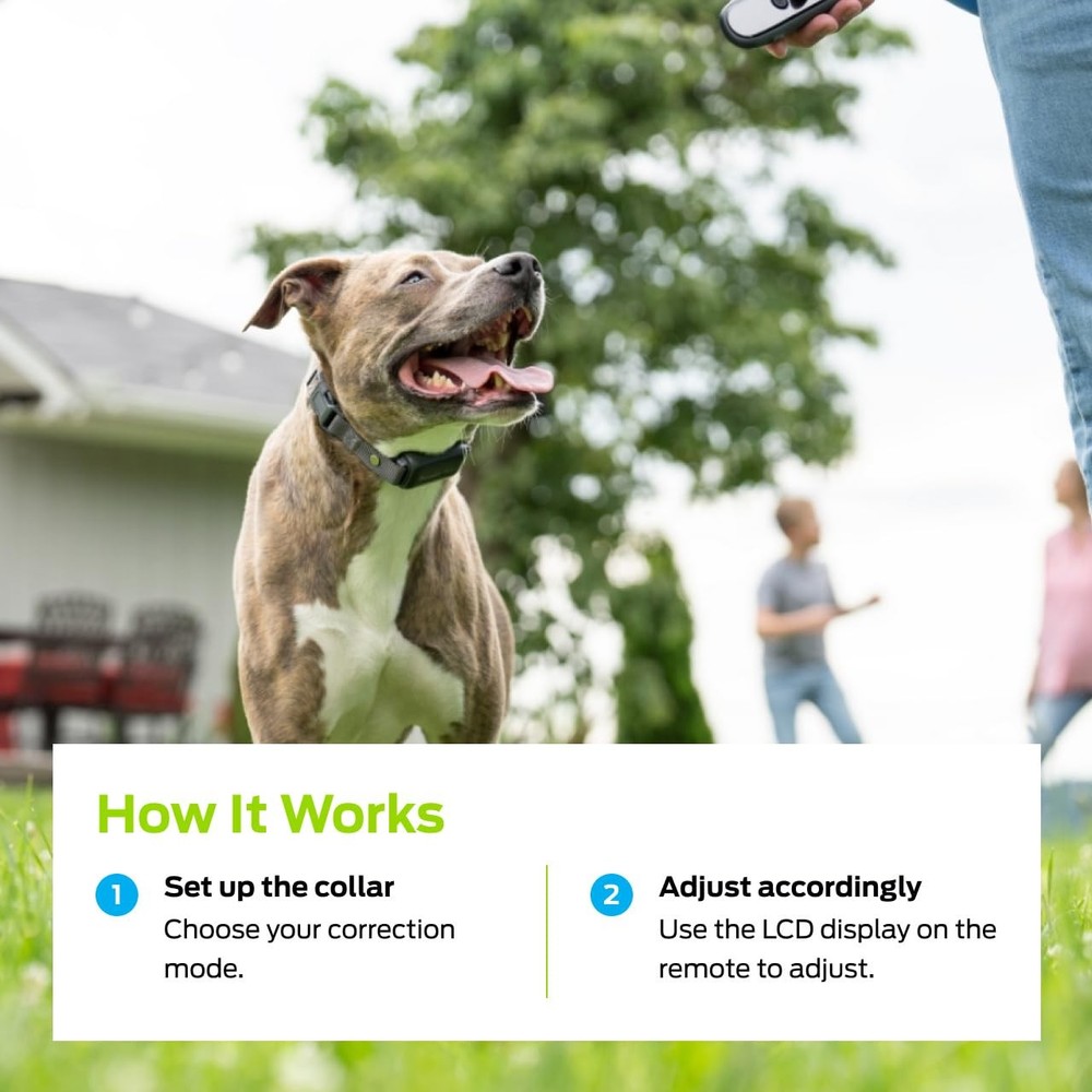 Dog Shock Collar - Safe Behavior Training - 1000ft Long Range Training Shock ...