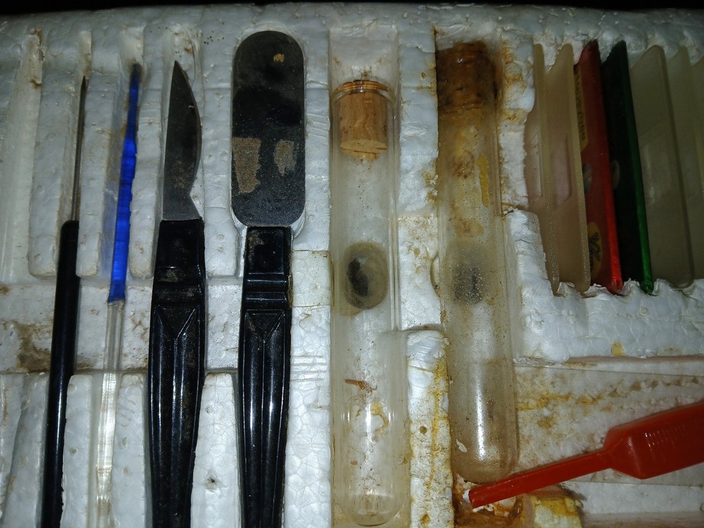 Tasco Microscope Kit Model 9876 - Used