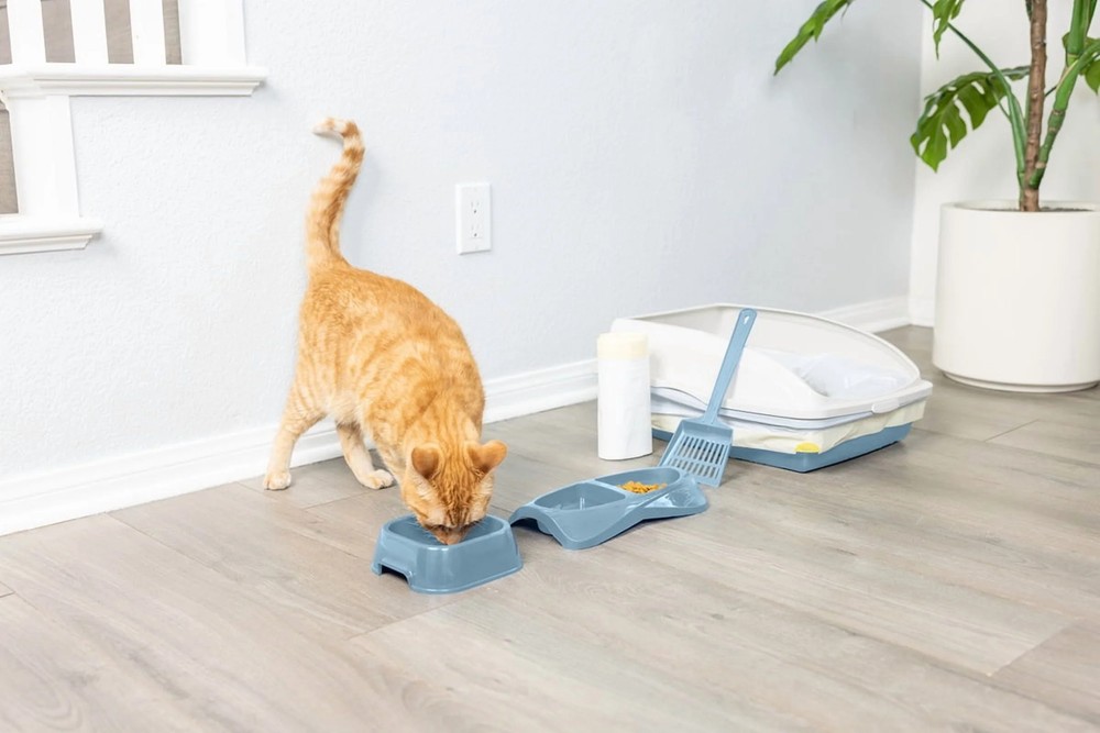 Van Ness Cat Starter Cat Litter Pan Kit