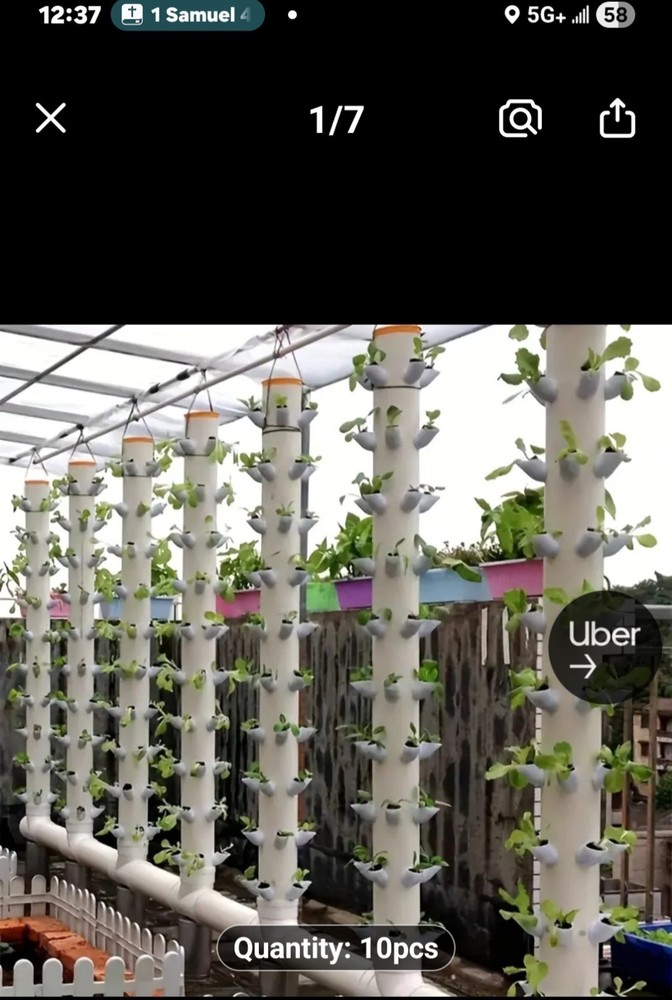 hydroponic grow system kit
