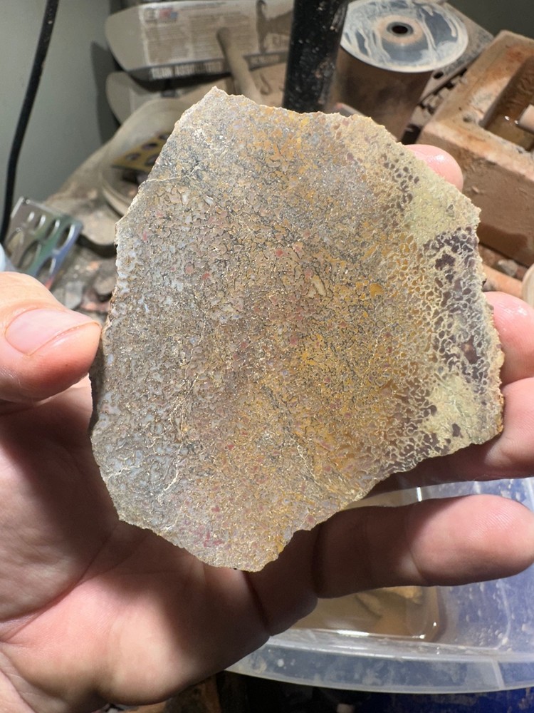 Dinosaur bone rough high grade slab.