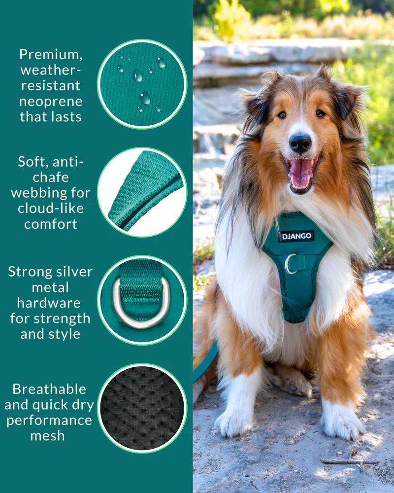 NWT Django Tahoe No Pull Dog Harness - Dark Teal Green