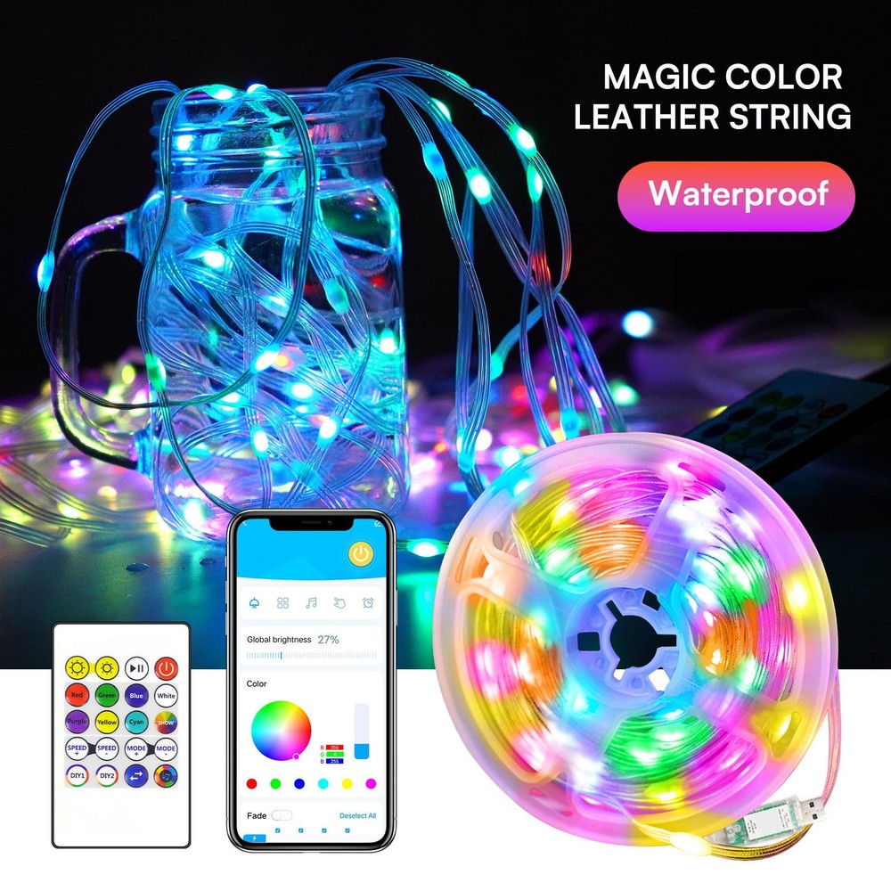 LED Smart Fairy String Lights, Color-Changing, Music Sync, App & Remote  Control