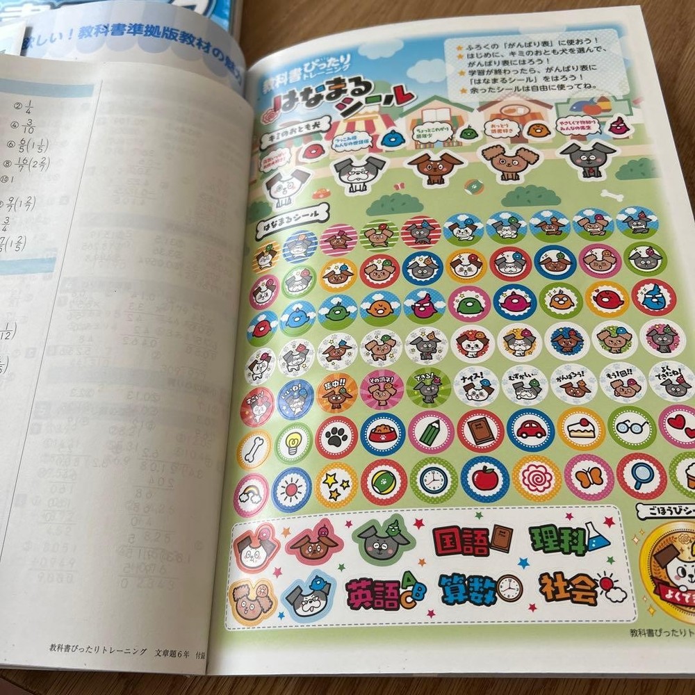 Japanese school textbook 6th grade perfect training & work
