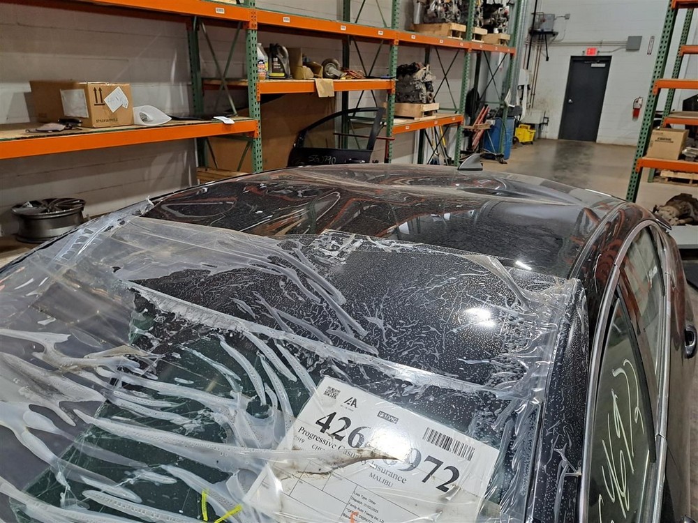 2019 Malibu Jack Sku#4275468