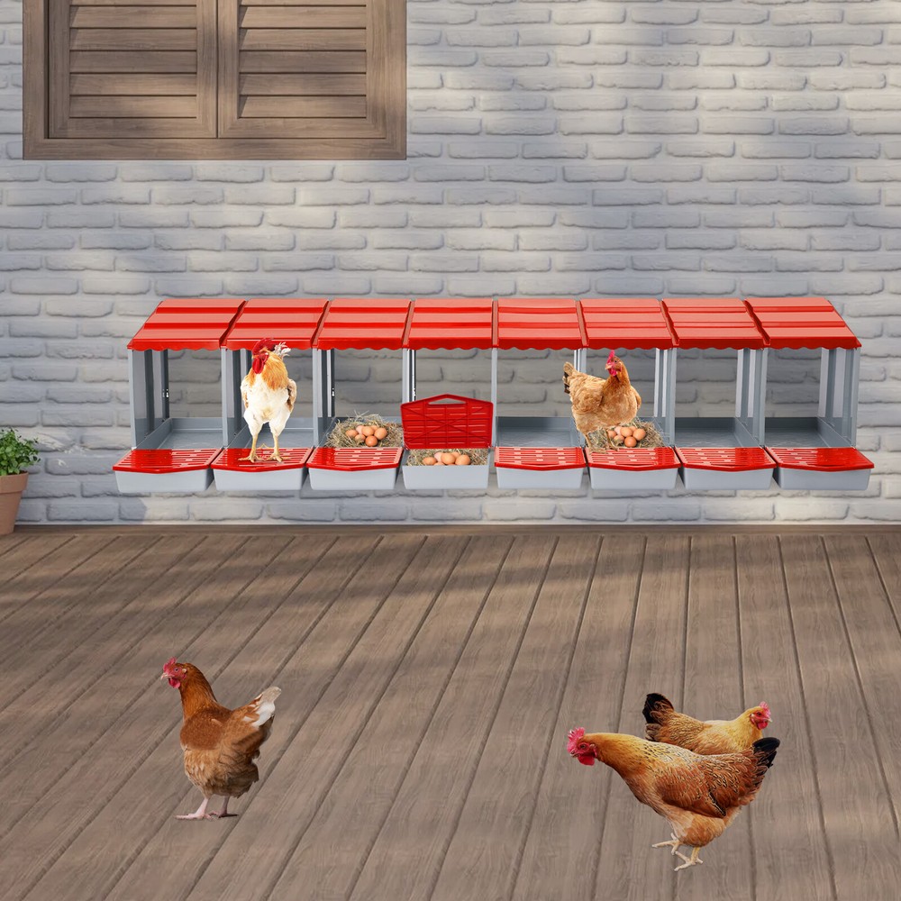 Modern Chicken Laying Boxes With Egg Collection Nesting Boxes 222.8*51.5*46.5cm