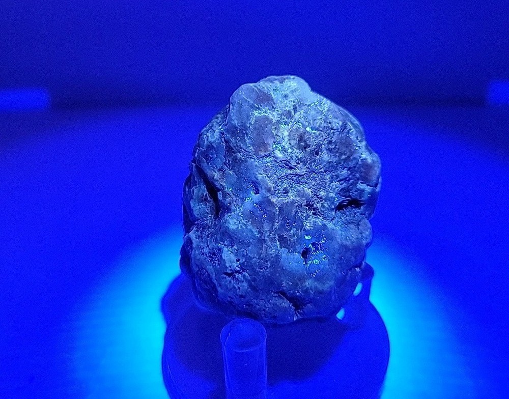 Real Permineralized Reptile Egg Fossil