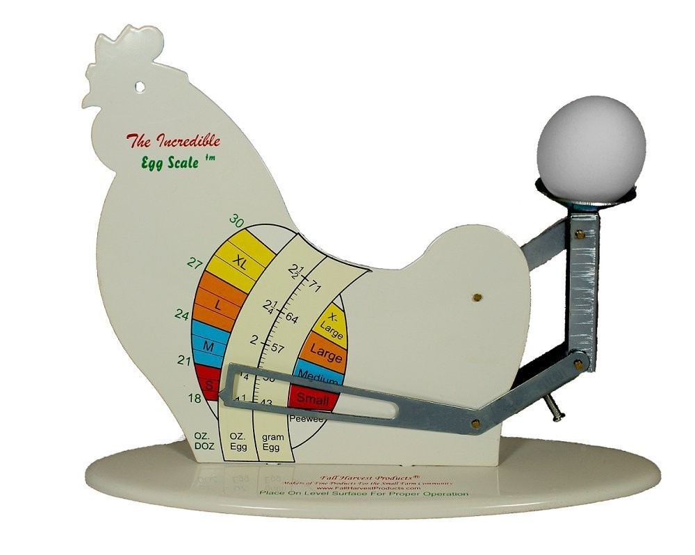 The Incredible Egg Scale