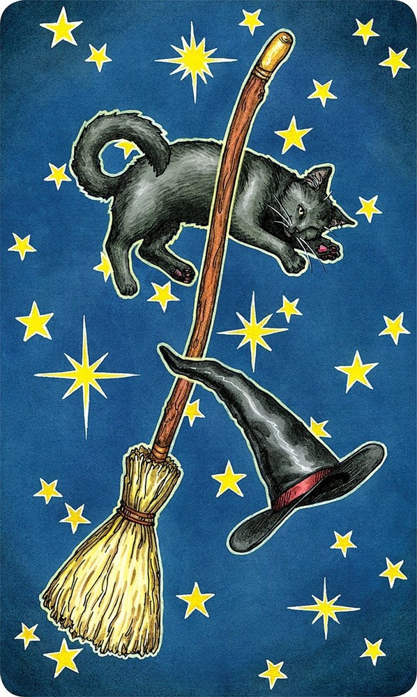 Everyday Witch Tarot Deck + Full-Color Book Reading Divination Deborah Blake