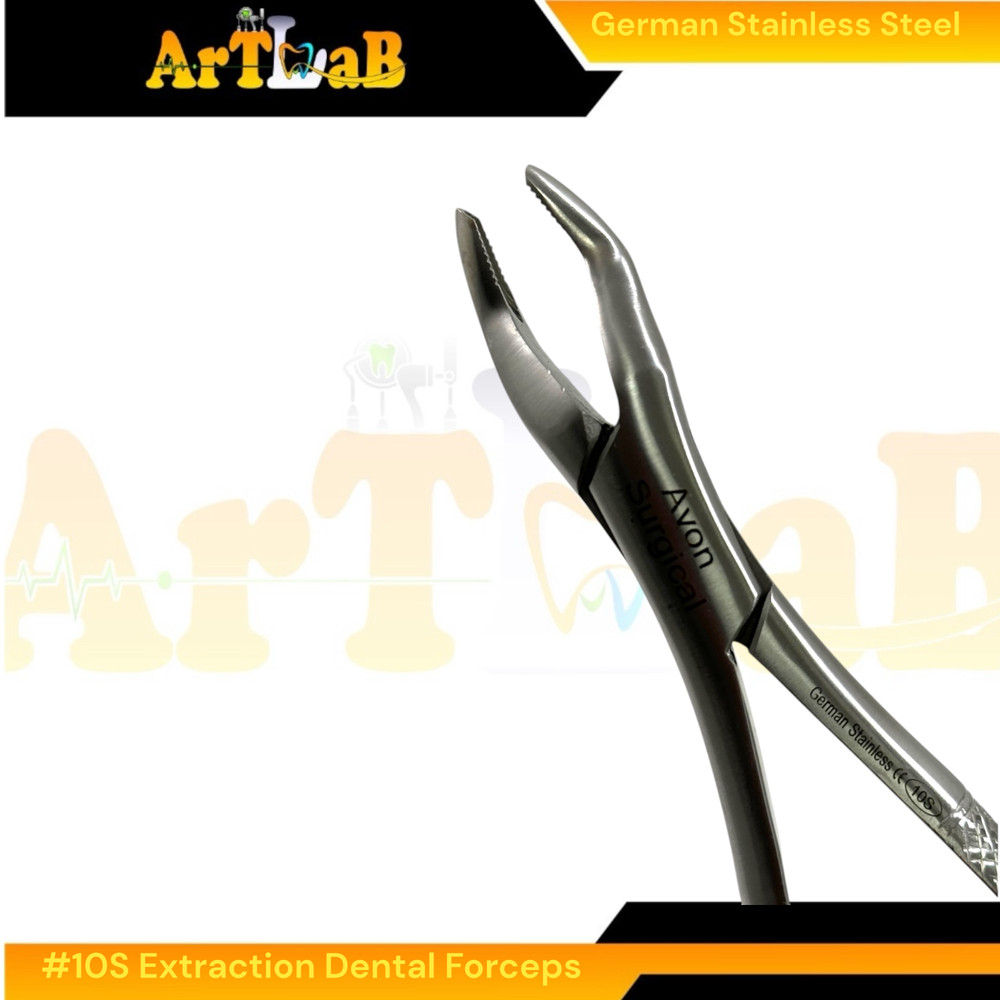 German Stainless Steel #10S Upper Molar Extraction Forceps, Universal, Serrated