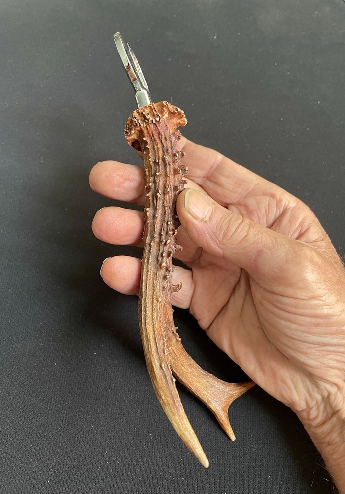 Roe Deer Antler Bottle Opener