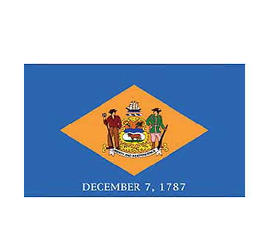 DELAWARE POLYESTER US STATE FLAG  3 x 5 FEET